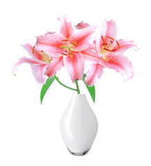beautiful pink lily in vase on white background with clipping pa