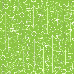 Papier Peint photo autocollant Vert modèle sans couture de fleurs de camomille blanche