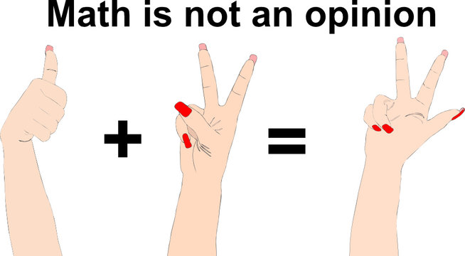 La matematica non &egrave; un'opinione