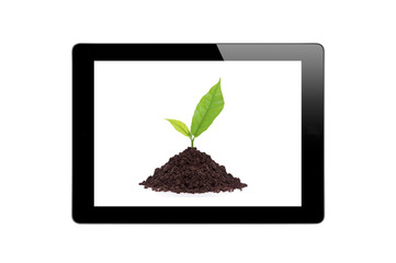 Black Touch Screen Tablet and Young plant in ground
