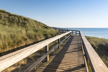 Fototapeta premium Wooden footpath through dunes at the North sea beach in Germany.