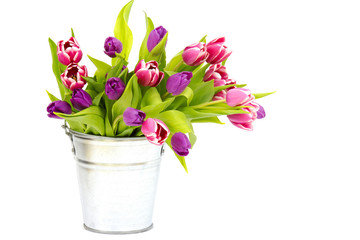colourful tulips in a bucket