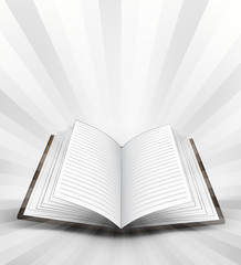 open book with central flare concept vector