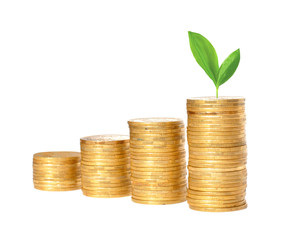 Savings, increasing columns of gold coins and green plant