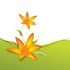 Crocus spring flowers for your card design.