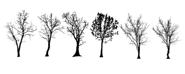 Vector silhouette of tree.
