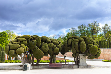 Gardens of the Retiro Park. Madrid. Spain