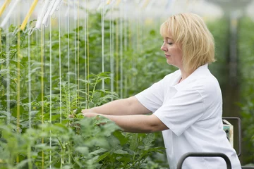Fototapeten Blond woman 35 years old working in a greenhouse © Frank