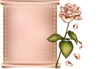 Greeting card with pink rose.