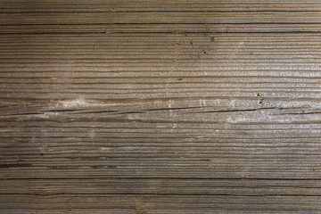 Drewno © Zbyszek Nowak