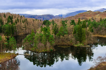 Lake District Cumbria Tarn Hows