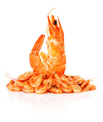 fresh shrimps isolated
