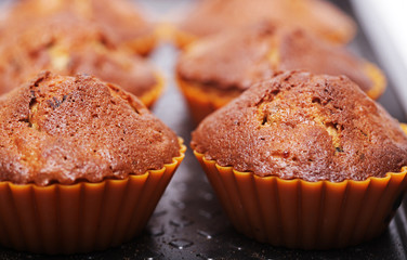 muffins