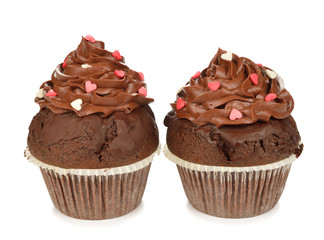 Chocolate cupcakes