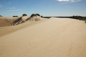 Dunes in Nambung National Park