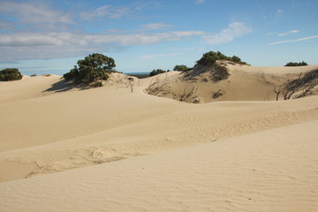 Dunes in Nambung National Park