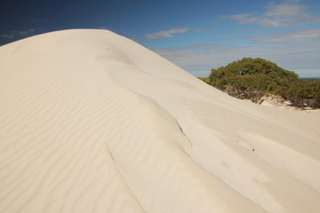Fototapeta na wymiar Dunes in Nambung National Park