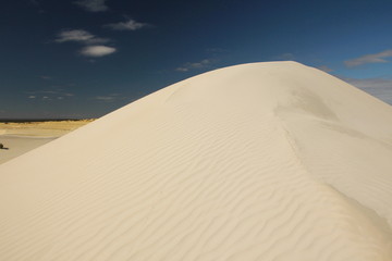 Fototapeta na wymiar Dunes in Nambung National Park