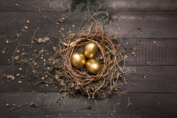 Golden eggs in nest - 63472686