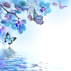 Floral background of tropical orchids and  butterfly