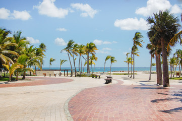 Hotel with palms in the garden