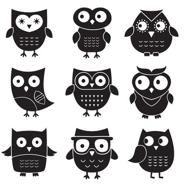 Owls, isolated design elements