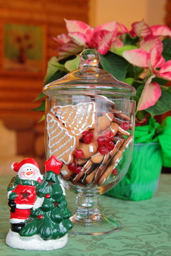 Christmas composition with gingerbread and christmas flower