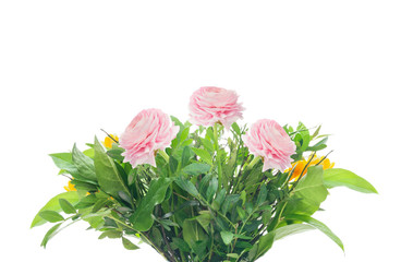 bunch with pink buttercups and greens, isolated