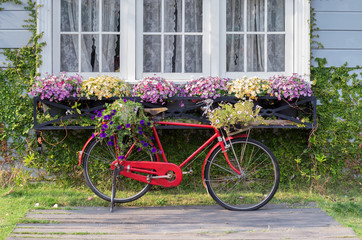 Fototapeta na wymiar Red vintage bicycle