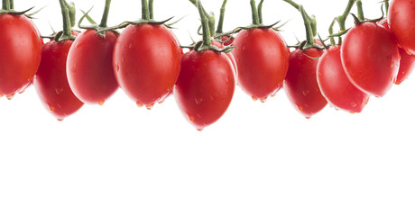 oval tomatoes with water drops, banner,isolated