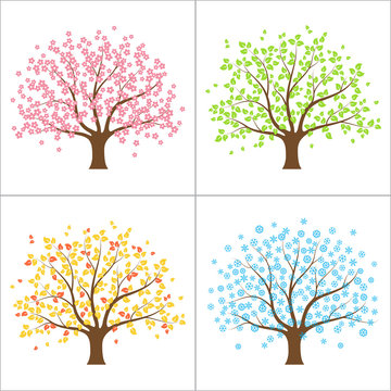 Tree in spring, summer, autumn and winter. Four seasons concept