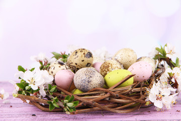 Naklejka na ściany i meble Composition with Easter eggs and blooming branches in nest,