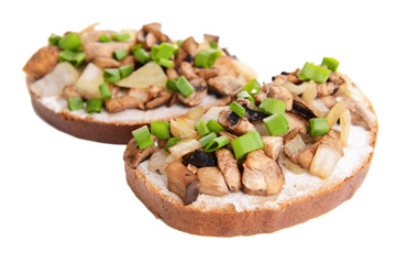 Delicious bruschetta with mushrooms isolated on white