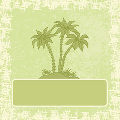 Fototapeta na wymiar Exotic background, palm and frame