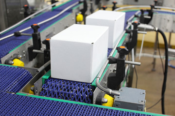 Cardboard boxes on conveyor belt in plant