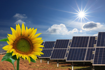 Solarkollektoren, Sonnenschein und Sonnenblume