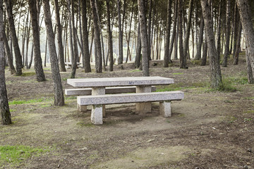 Fototapeta premium Stone seat in a forest