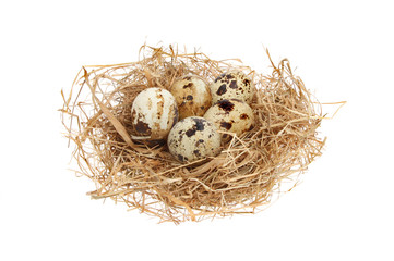 Naklejka na ściany i meble Eggs in a nest