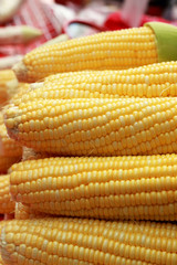Sweet corn in the market