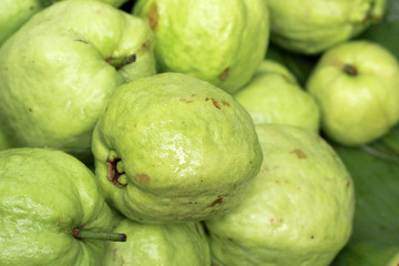 Guava fruit in the market