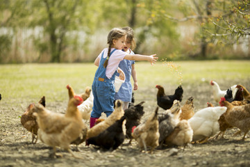 Two little girl feeding chickens