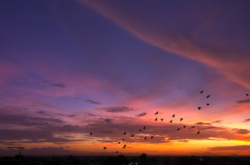sunset sky panorama.