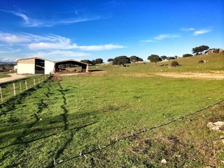 Granja en un prado o monte con cesped