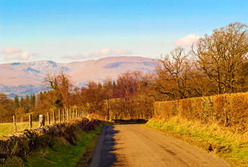 Road in the Scottish countryside