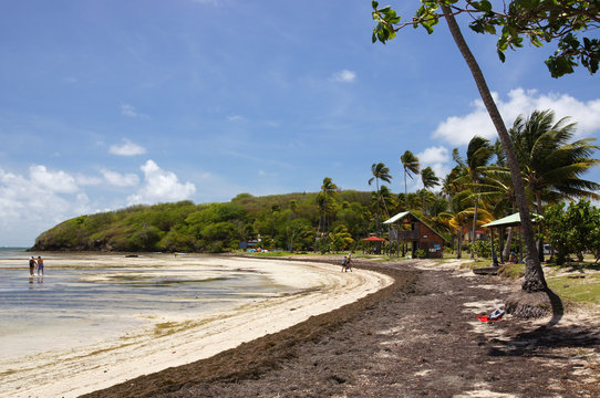 Plage de la Pointe Faula