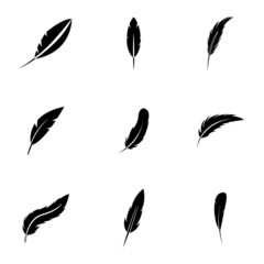 Vector black feather icons set