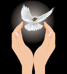 vector hand drawn to the dove with an olive branch