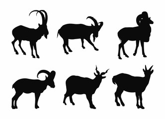 set contour goats