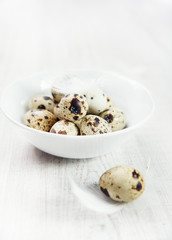 easter eggs in a white bowl © Kamila Cyganek