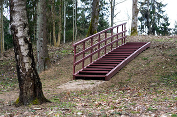 Stairs in the forest
